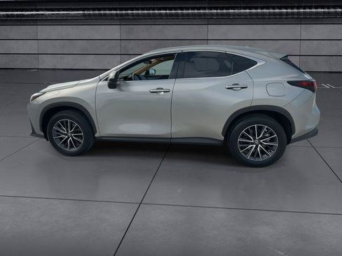 Certified 2025 Lexus NX 250 FWD w/ Cold Area Package image 5