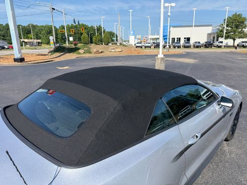Used 2019 Ford Mustang GT Premium w/ Equipment Group 401A RWD image 14
