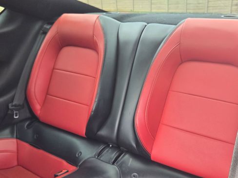 Used 2019 Ford Mustang Premium w/ Equipment Group 201A RWD image 13