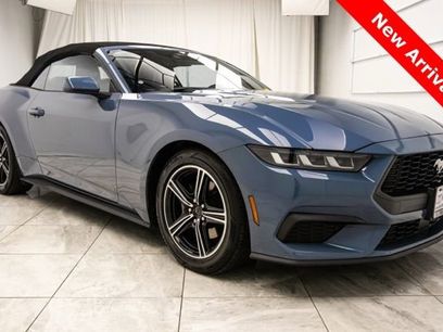 Used 2024 Ford Mustang Premium