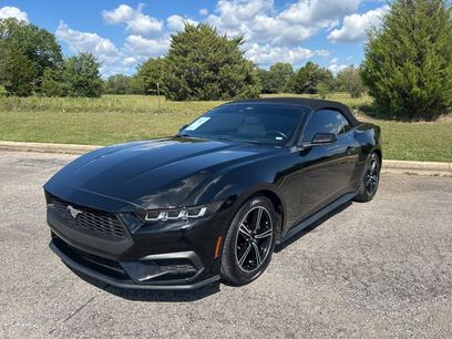 Used 2024 Ford Mustang Premium