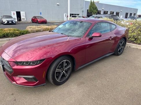 Used 2025 Ford Mustang Premium RWD image 1