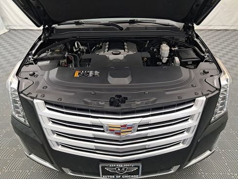 Used 2019 Cadillac Escalade Platinum image 48