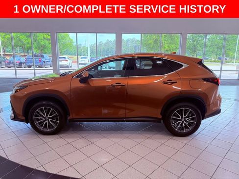 Used 2025 Lexus NX 250 FWD w/ Accessory Package (Z1) image 4