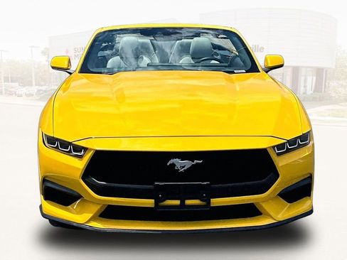 Used 2024 Ford Mustang Premium RWD image 2