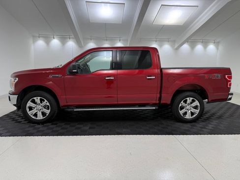 Used 2019 Ford F150 XLT w/ Equipment Group 302A Luxury AWD/4WD image 4
