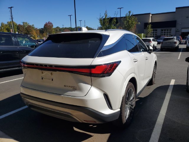 Used 2023 Lexus RX 350 w/ Cold Area Package AWD/4WD image 4