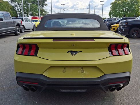 New 2025 Ford Mustang Premium w/ Mustang Nite Pony Package RWD image 6