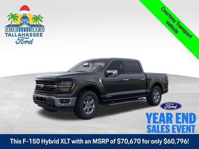 New 2025 Ford F150 XLT w/ Equipment Group 302A MID