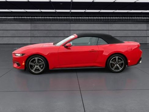 Certified 2025 Ford Mustang Premium image 5