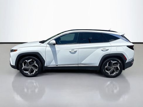 Used 2023 Hyundai Tucson Limited FWD image 4