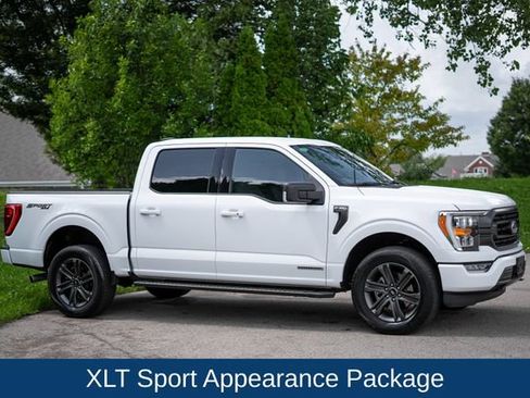 Used 2023 Ford F150 XLT w/ Equipment Group 302A High AWD/4WD image 4