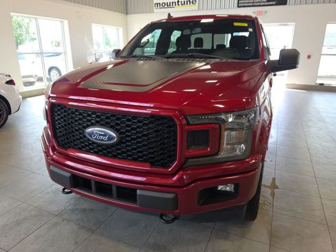 Used 2019 Ford F150 XLT w/ Equipment Group 302A Luxury AWD/4WD image 2