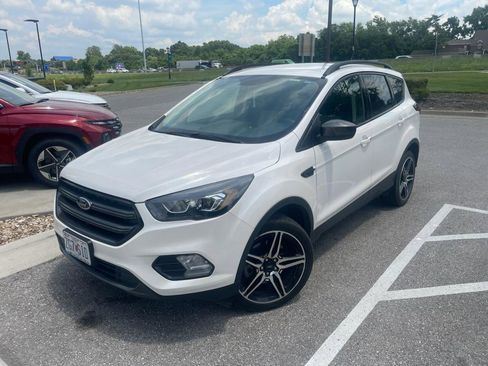 Used 2019 Ford Escape SEL AWD/4WD image 1