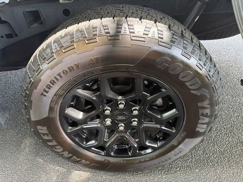 Used 2025 Ford F150 STX AWD/4WD image 19