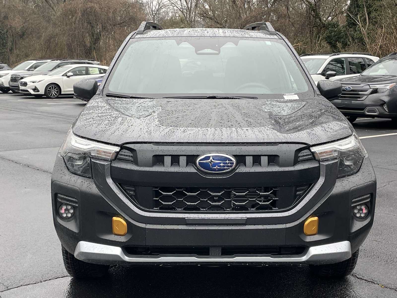New 2026 Subaru Forester Wilderness w/ Wilderness Plus Package AWD/4WD image 6