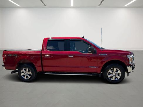 Used 2019 Ford F150 XLT w/ Equipment Group 302A Luxury AWD/4WD image 5