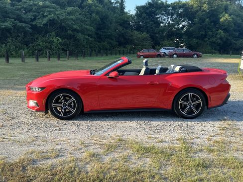Used 2025 Ford Mustang Premium RWD image 8