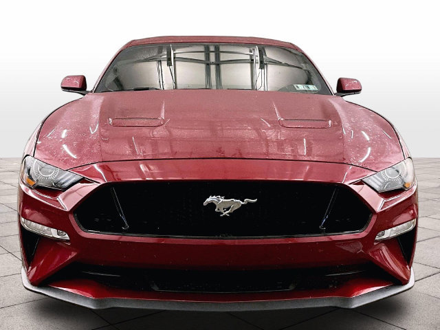 Used 2019 Ford Mustang GT RWD image 3