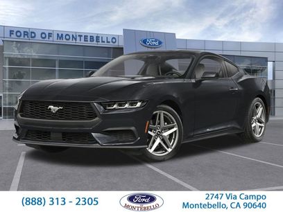 Used 2026 Ford Mustang Coupe