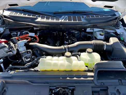 Used 2025 Ford F150 XLT w/ Equipment Group 302A MID AWD/4WD image 29
