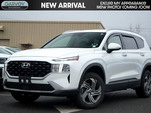 Certified 2023 Hyundai Santa Fe SEL w/ Winter Weather Package image 1
