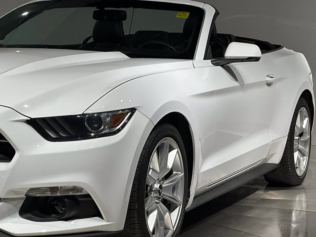Used 2015 Ford Mustang Premium w/ Equipment Group 201A RWD image 3