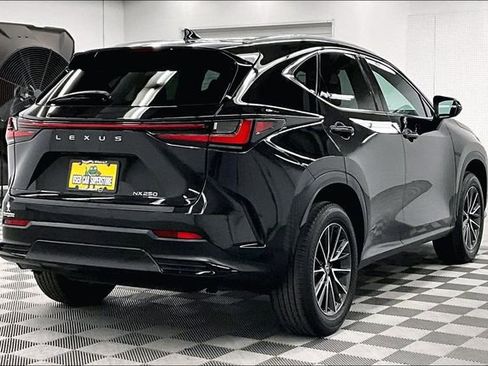 Used 2024 Lexus NX 250 250 Base w/ Cold Area Package image 13