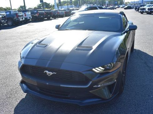 Used 2019 Ford Mustang Premium RWD image 7