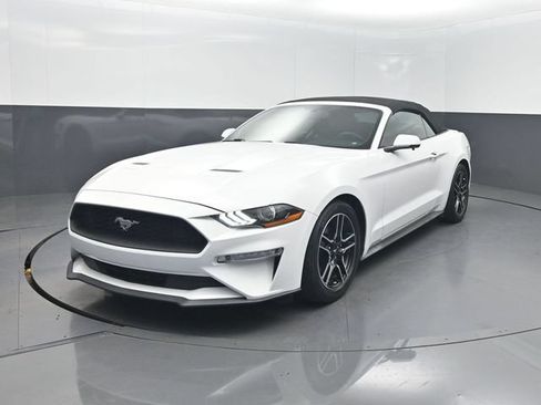 Used 2019 Ford Mustang Premium RWD image 2