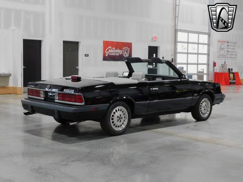 Used 1986 Dodge 600 ES image 4