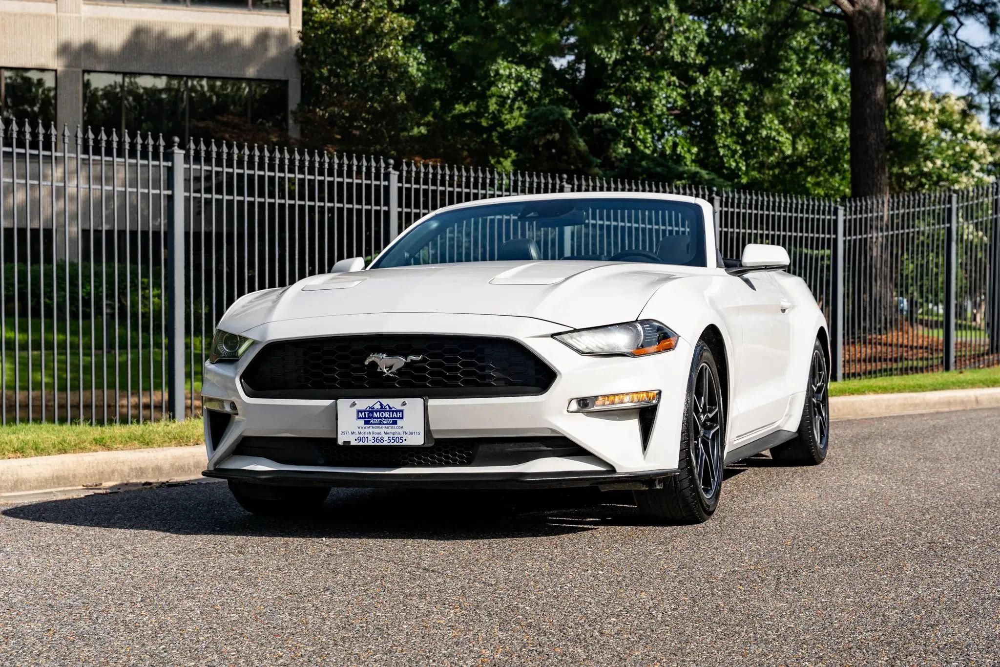 Used 2021 Ford Mustang Premium RWD image 2