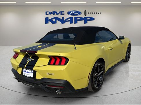 Used 2025 Ford Mustang Premium image 8