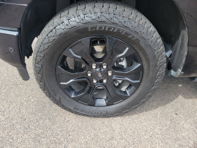 Used 2022 Ford F150 Platinum w/ Equipment Group 701A High AWD/4WD image 14