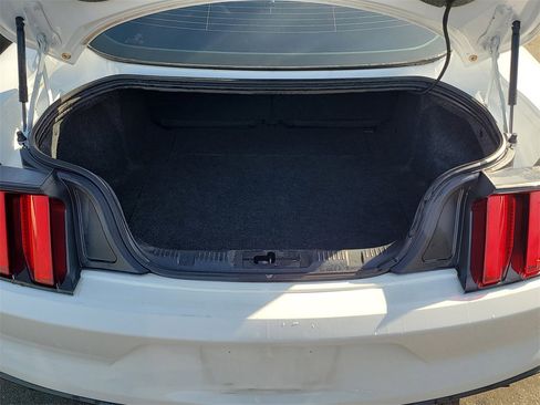 Used 2017 Ford Mustang Premium image 6