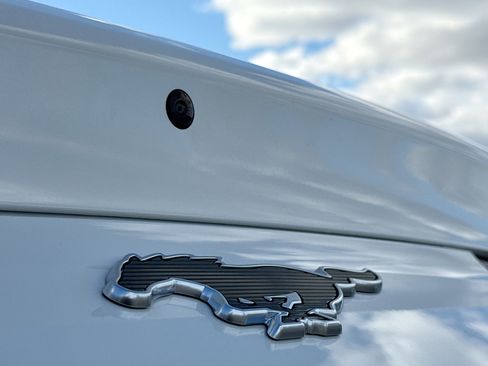 New 2025 Ford Mustang Mach-E Premium w/ Sport Appearance Package image 13