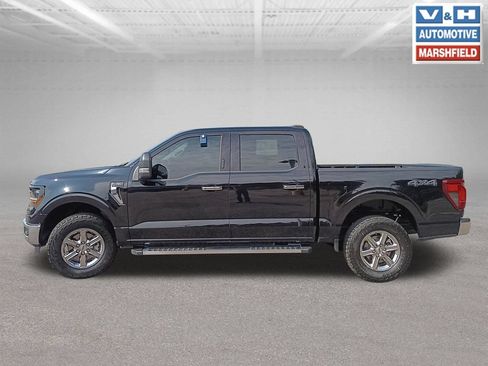 Used 2024 Ford F150 XLT w/ Equipment Group 302A MID AWD/4WD image 2
