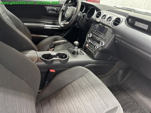 Used 2017 Ford Mustang Coupe w/ Ecoboost Performance Package image 5