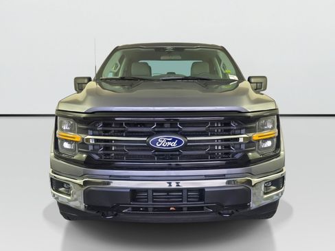 Used 2025 Ford F150 XLT w/ Equipment Group 301A Standard AWD/4WD image 8