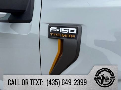 Used 2023 Ford F150 Tremor w/ Equipment Group 402A High AWD/4WD image 11