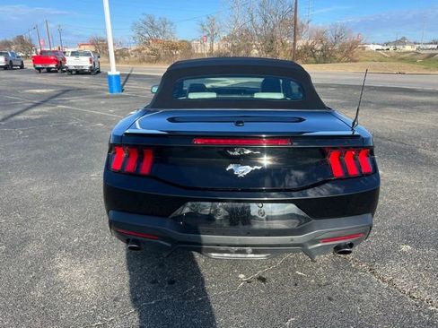 Used 2024 Ford Mustang Premium image 5