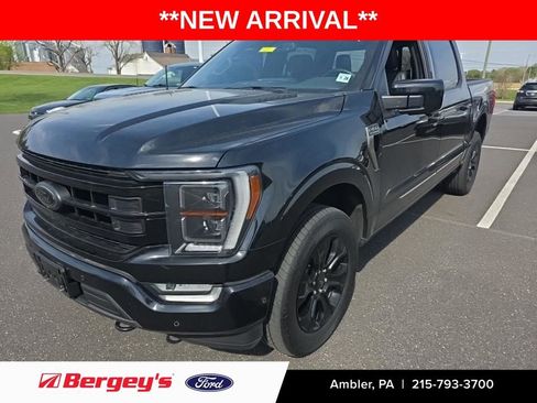 Used 2023 Ford F150 Platinum w/ Equipment Group 701A High AWD/4WD image 1