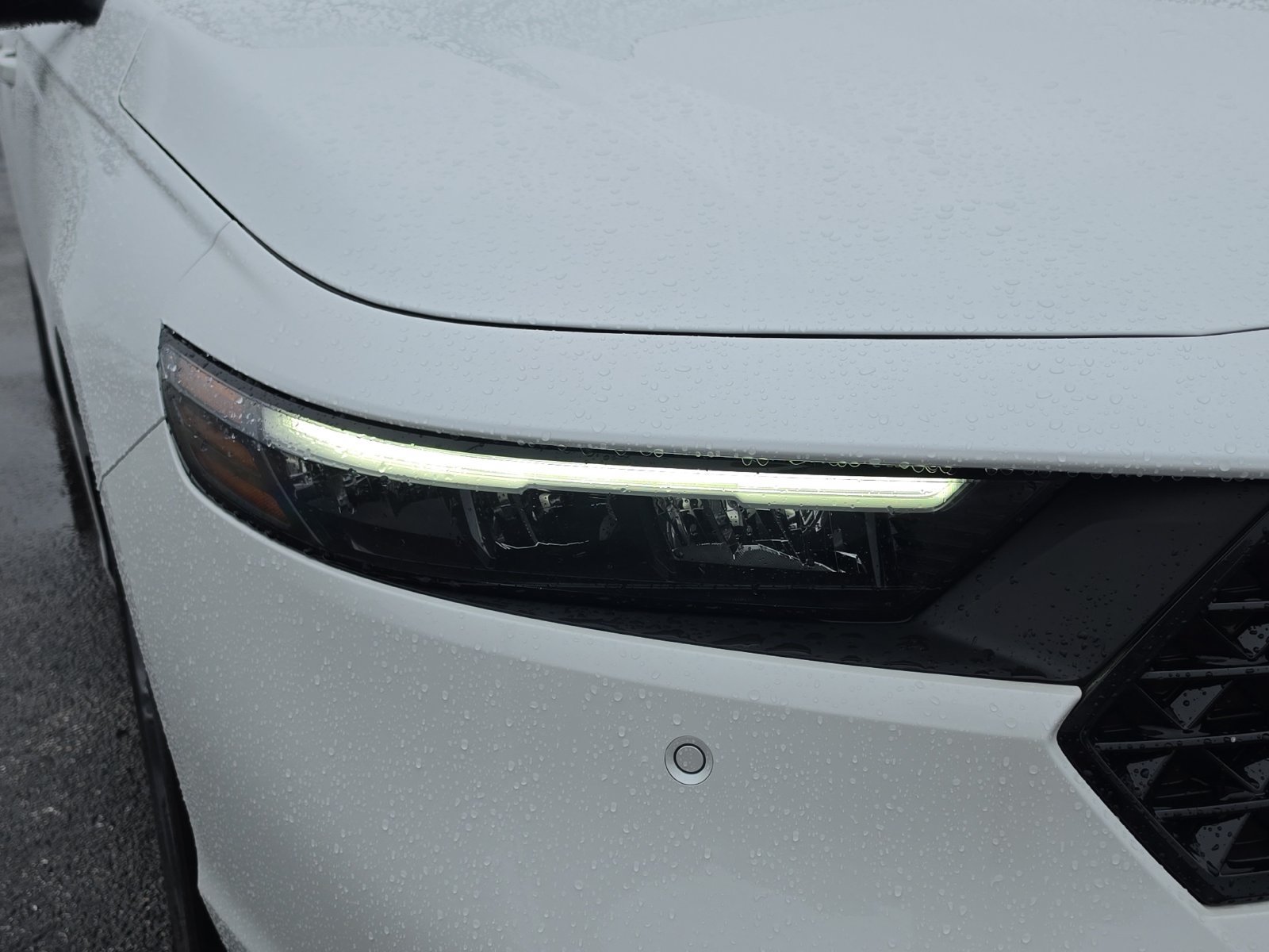 Used 2025 Honda Accord EX-L image 6