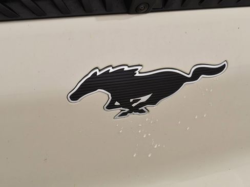 Used 2025 Ford Mustang Mach-E Select w/ Comfort Package Lite image 21