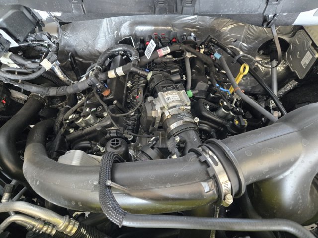 New 2026 Ford F150 XL RWD image 22