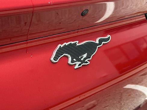 Used 2022 Ford Mustang Mach-E Select image 16