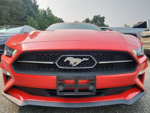 Used 2019 Ford Mustang Premium w/ Equipment Group 201A RWD image 11