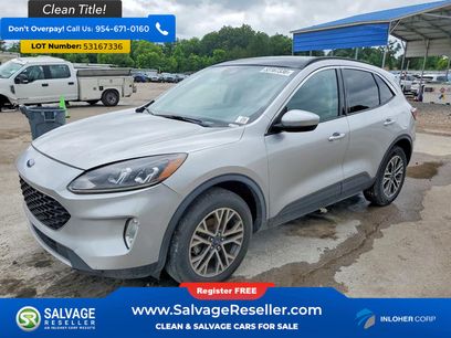 Used 2020 Ford Escape SEL