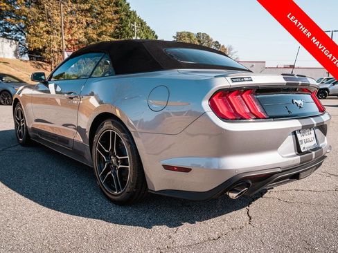 Used 2023 Ford Mustang Premium w/ Equipment Group 201A image 6
