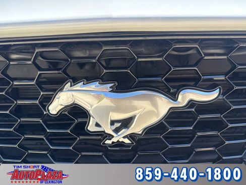 Used 2024 Ford Mustang GT Premium image 12